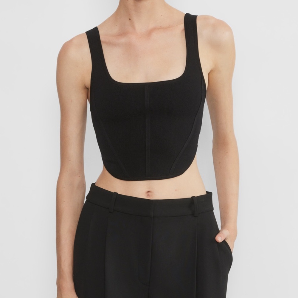 Aritzia Babaton Bustier Tank